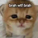 brah brah