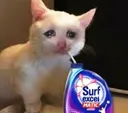 un_surfexcelkenashebc