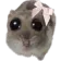 ep_hamster_cdw