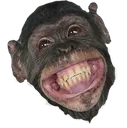 imgbinchimpanzeegorillaprimatemo