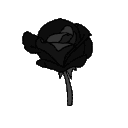 rosedark