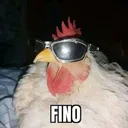 FINO