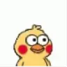 chickenstare