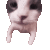 CAT_KissingCat Discord Emoji