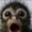 SHOCK