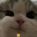 achiya_naruto