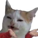 AP_gcatwat Discord emoji