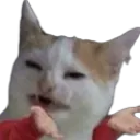 AP_gcatwat