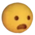 ShockedSurprise