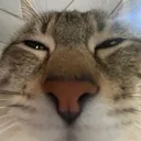 goomba