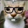 Catnerd catnerd Discord Emoji