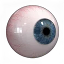 2_eye