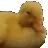 duckno