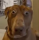 huh
