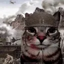 war