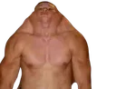 supbro