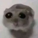 rata