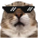 piratedcoolterrance
