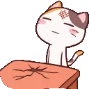 dumbcat