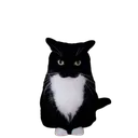 :sillycat: