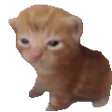 pspBert