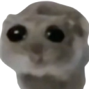 sadHamster
