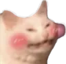 catflusheduwu catflusheduwu