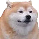 uwudog_ml Discord Emoji