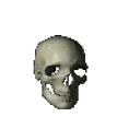 skull