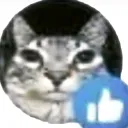 Like Like