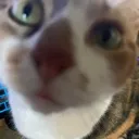 lilbitUuh