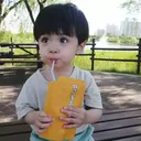 DL_Sip