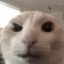 emoji_42