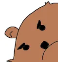 baerangy