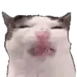 annytfEww