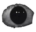 skibidieye