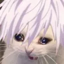 satoru_cat_cri