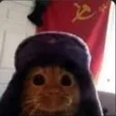 cd4f352d612a5273058dd354a5255311