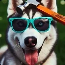 Huskybonk