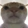 zstare2