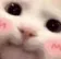 zblush2 zblush2