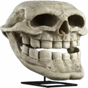 bones_smile bones_smile