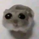 sad