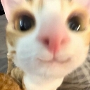 heyy Discord sticker | The Litter Box