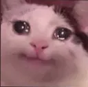 nekomood