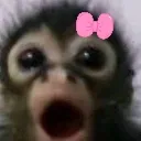 shocked_monk
