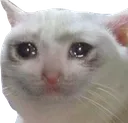 c13