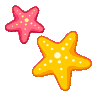 starfish