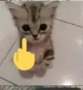 fu