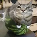 emoji_1